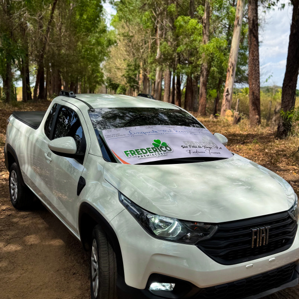 FIAT STRADA OU 50 MIL 